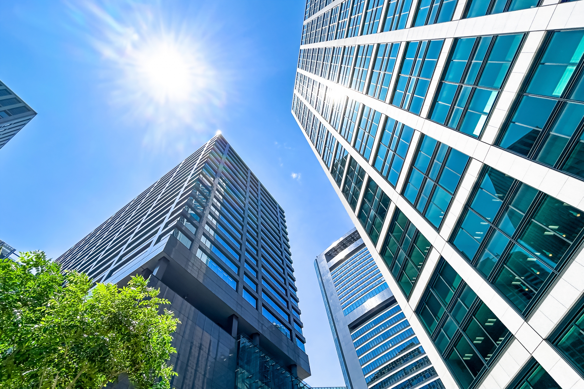 爆速で事業立ち上げを実現する、AIツール＆自動化プラットフォーム活用術